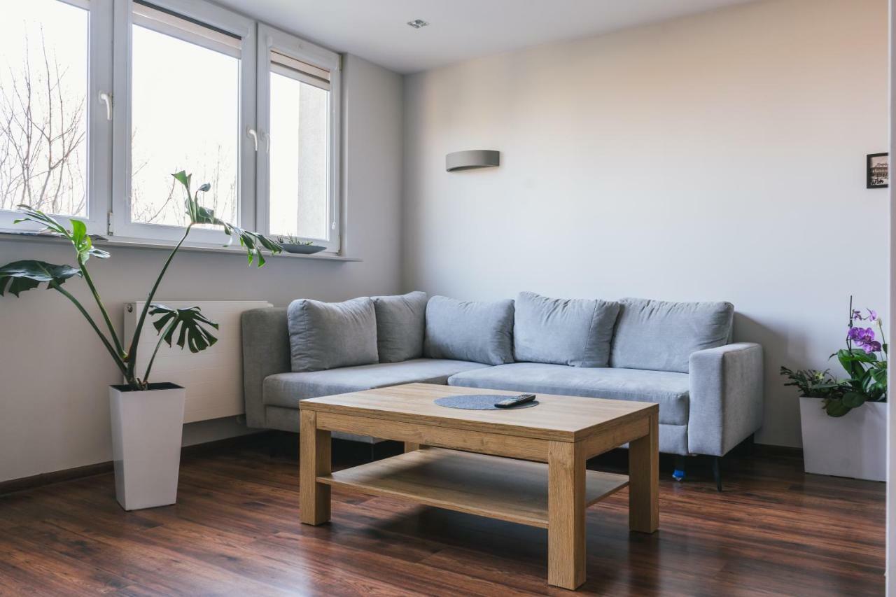 Appartement Gray à Bielsko-Biała Extérieur photo